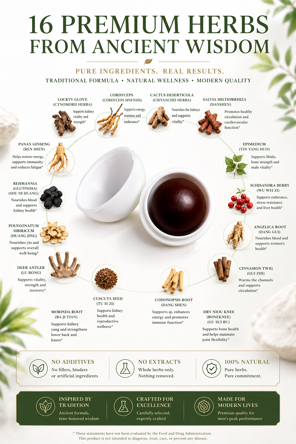 Sixteen premium herbs composition visual for Cynomorium Herba Pills